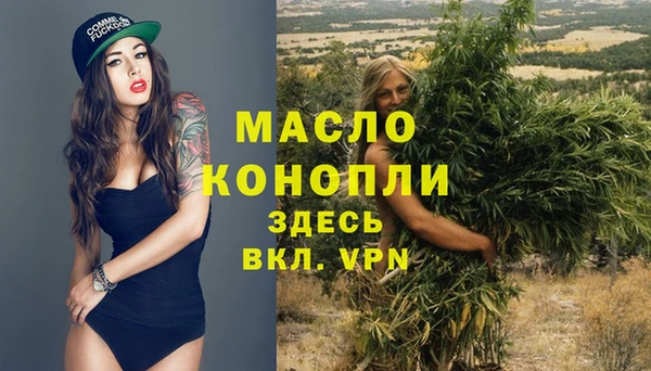 2c-b Горно-Алтайск