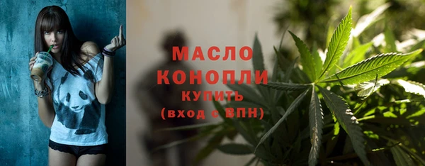 2c-b Горно-Алтайск