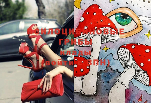 винт Горняк