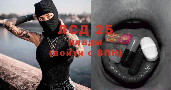 винт Горняк