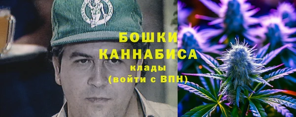 2c-b Горно-Алтайск