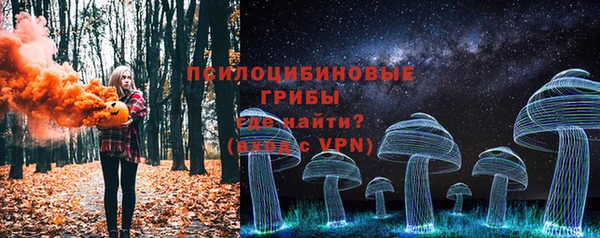 2c-b Горно-Алтайск